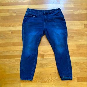 Judy Blue Skinny Jeans